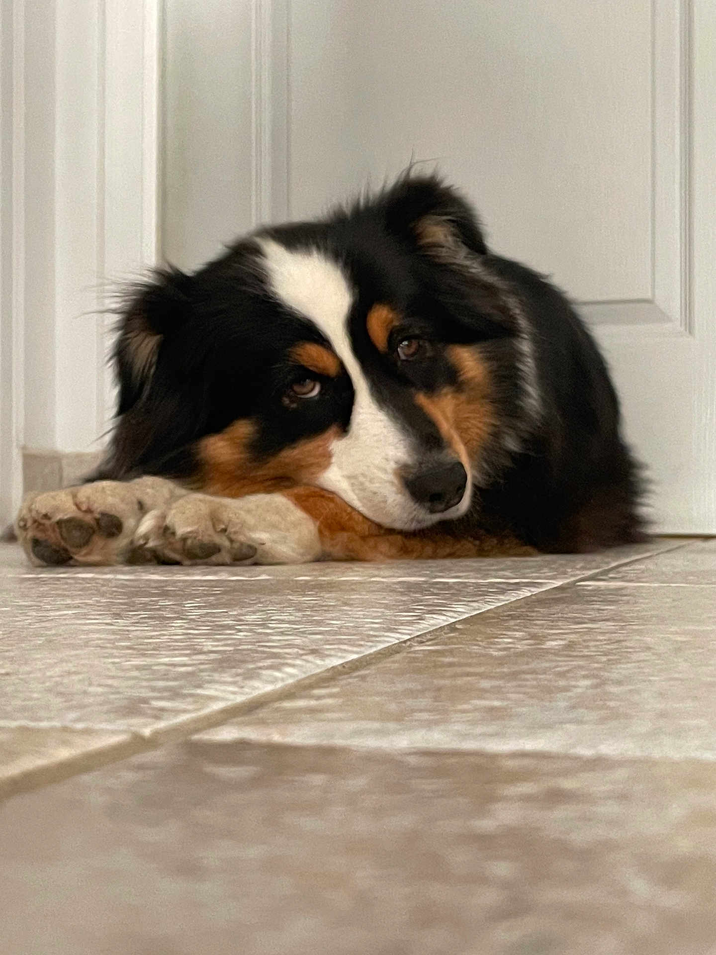 Nala