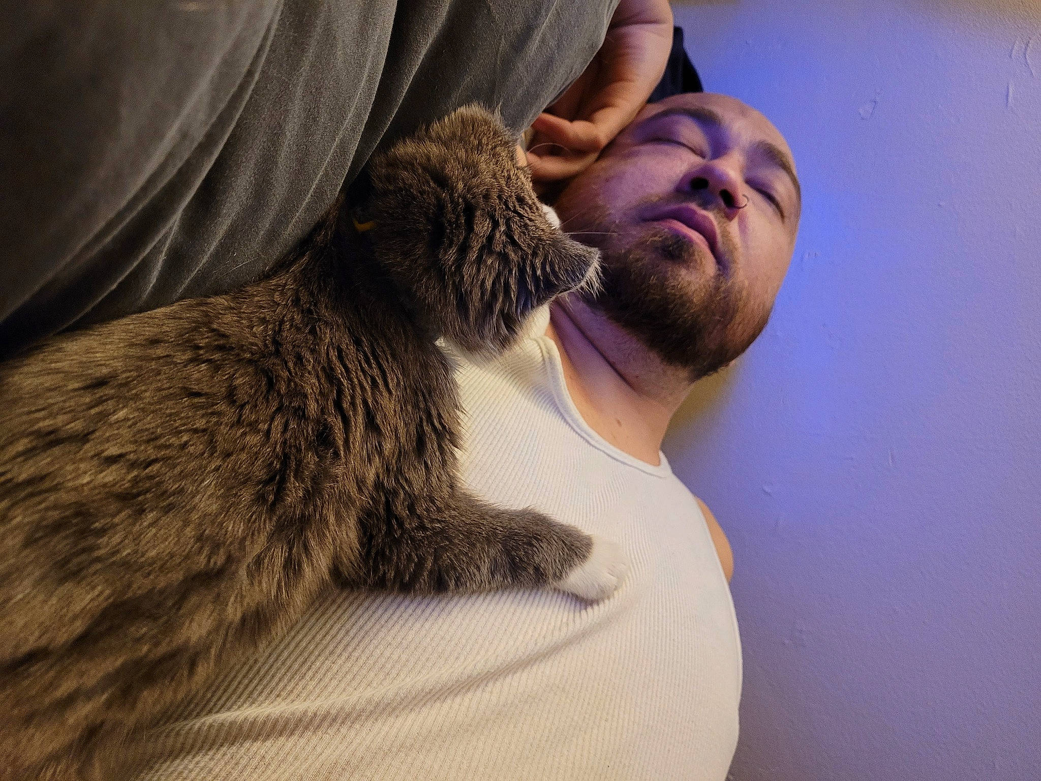 Benny is registered to the contest to win money with this photo: beard, comfort, elbow, facial_hair, fawn, felidae, flesh, fur, gesture, human_body, knee, leg, liver, small_to_medium_sized_cats, sporting_group, tail, terrestrial_animal, whiskers, wildlife, wildlife_biologist