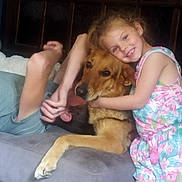 Bella a rejoint le concours — aidez-le/la à gagner de superbes lots ! arm, brown_dog, casual, child, couch, cozy, dog, family, floral_dress, foot, girl, happy, home, hugging, indoor, person, pet, relaxed, smiling, window