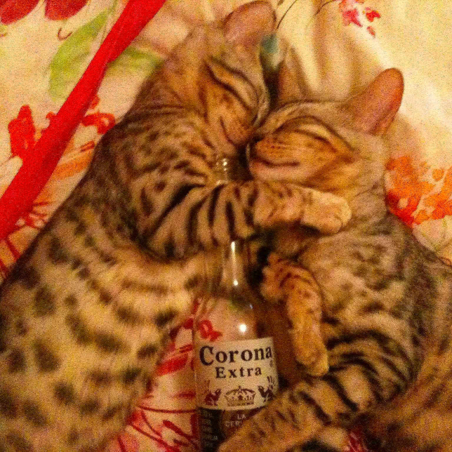 Titan Lunar joined the competition — help win amazing prizes!