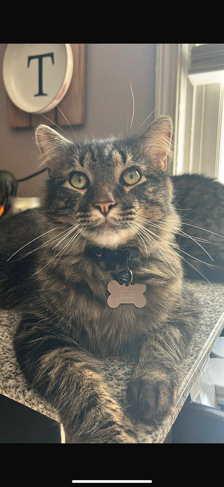 Chicken Nugget