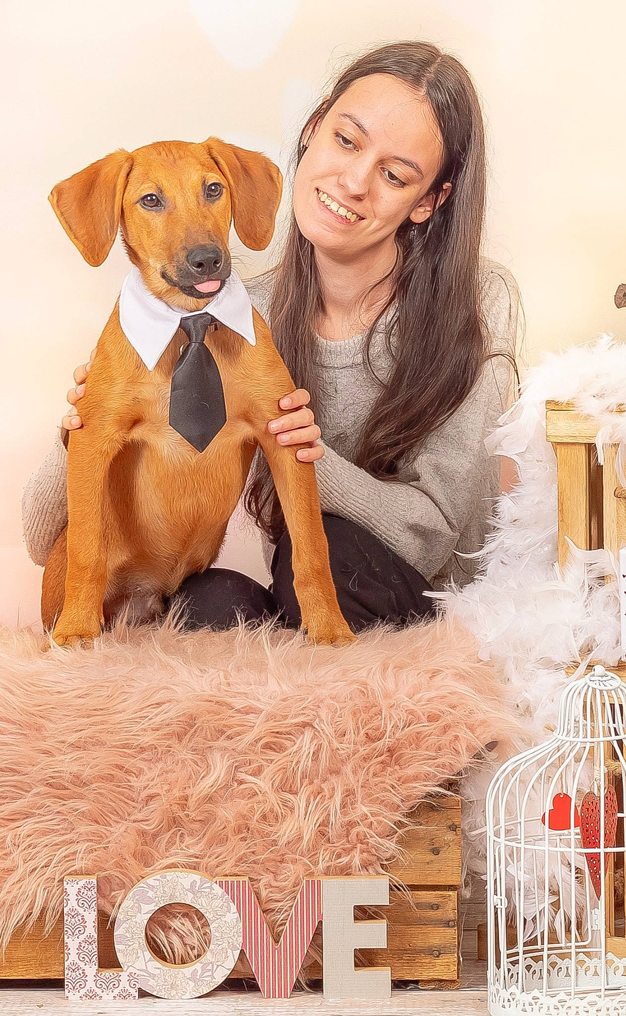Mïcky a rejoint le concours — aidez-le/la à gagner de superbes lots ! ancient_dog_breeds, canidae, carnivore, companion_dog, dog, dog_breed, event, fawn, formal_wear, fur, happy, holiday, photo_caption, rectangle, selfie, sitting, smile, sporting_group, working_animal