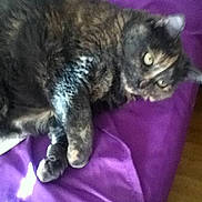 Athena joined the competition — help win amazing prizes!