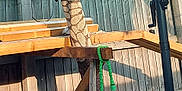 Nox joined the competition — help win amazing prizes! black_cat, scratching_post, fence, backyard, umbrella, wooden_fence, garden_hose, pet_carrier, outdoor, sunlight, wooden_structure, gravel, cat, animal, pet, shade, pole, green_hose, wood, daytime