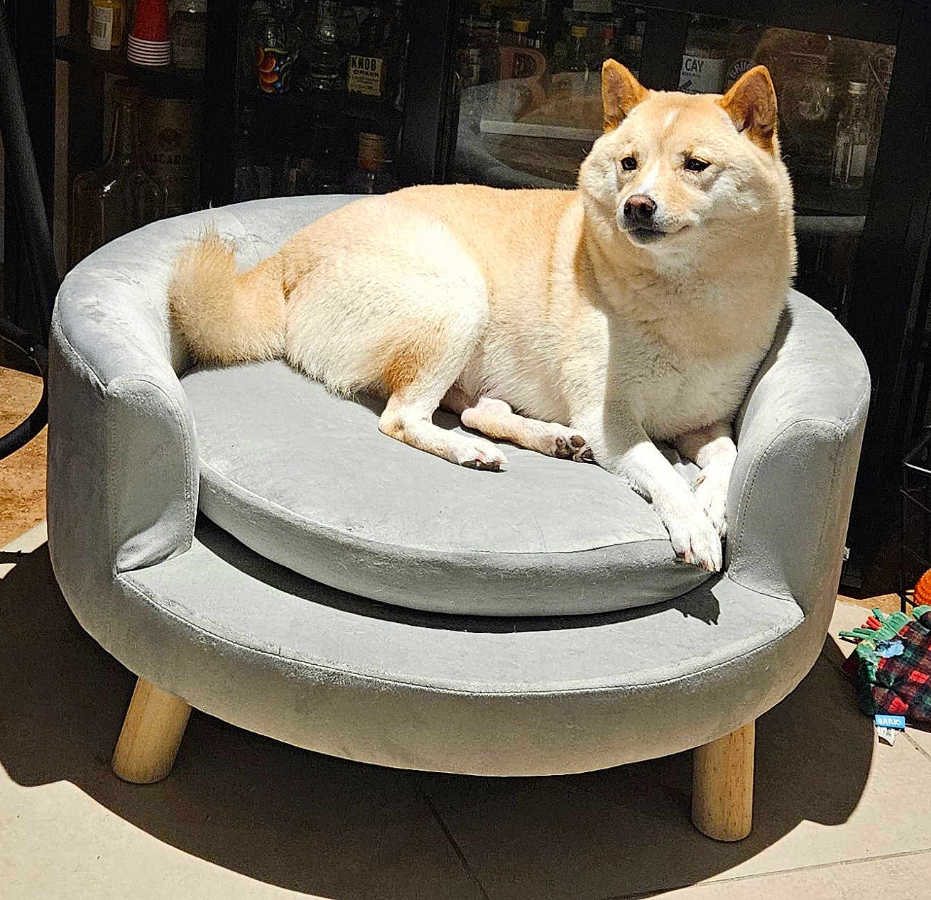 Nala