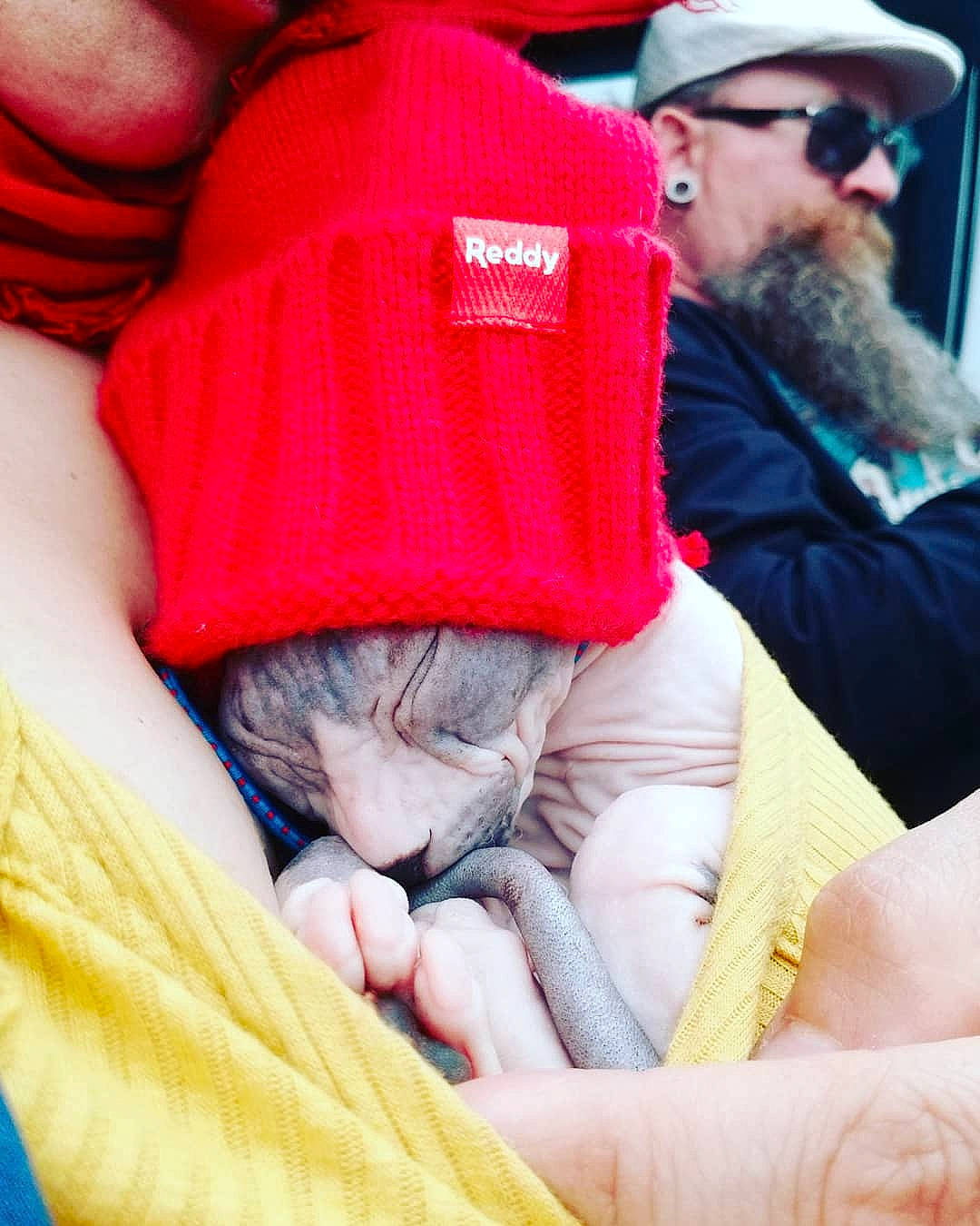 Don Vladimir is registered to the contest to win money with this photo: baby, beanie, beard, cap, child, facial_hair, hand, headgear, headwear, knit_cap, knitting, person