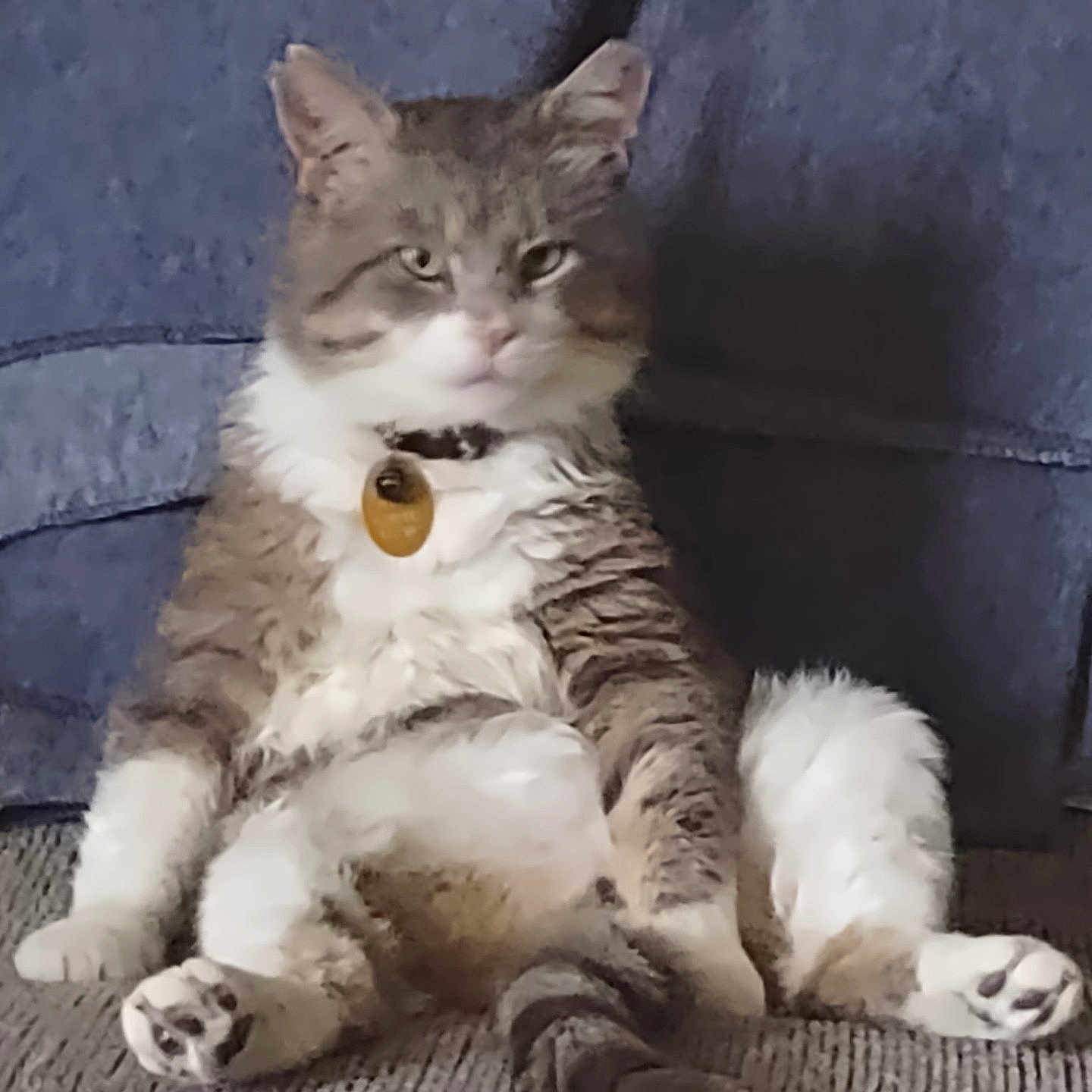 Tom
