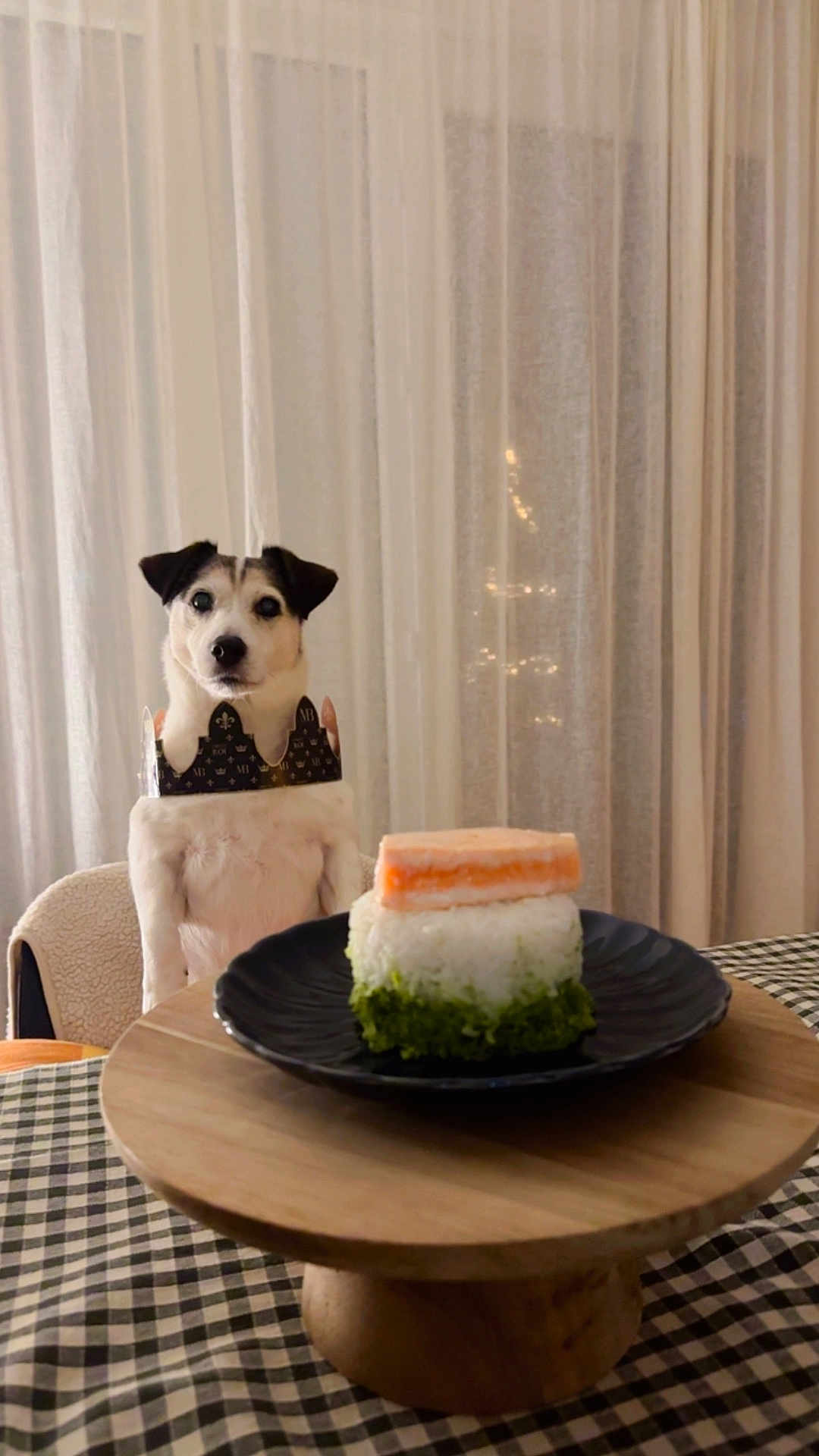 Caoilainn a rejoint le concours — aidez-le/la à gagner de superbes lots ! dog, puppy, crown, plate, food, sushi_stack, rice, salmon, wooden_stand, table, checkered_tablecloth, curtain, chair, indoor, pet, sitting, portrait, black_plate, dining, cute