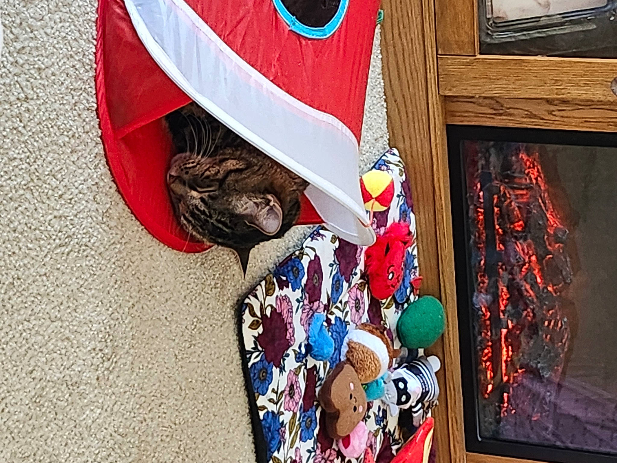 Diva is registered to the contest to win money with this photo: art, carmine, fashion_accessory, flag, flag_of_the_united_states, flooring, illustration, linens, pattern, red, room, t_shirt, television, textile, tradition, visual_arts, wood