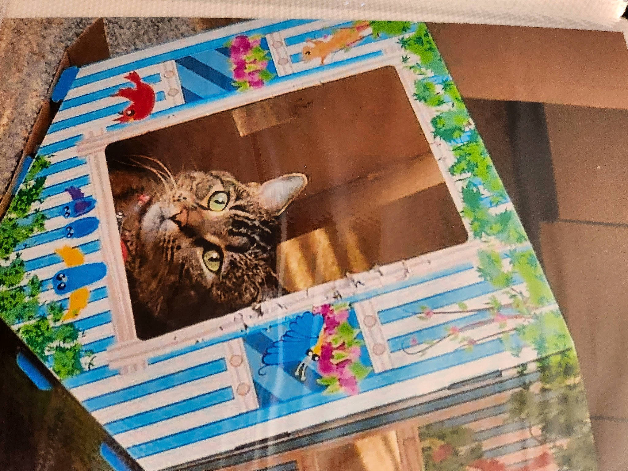 Diva joined the competition — help win amazing prizes! art, box, carnivore, craft, fawn, felidae, linens, owl, painting, paper, paper_product, pattern, rectangle, room, small_to_medium_sized_cats, textile, visual_arts, whiskers, wildlife, wood