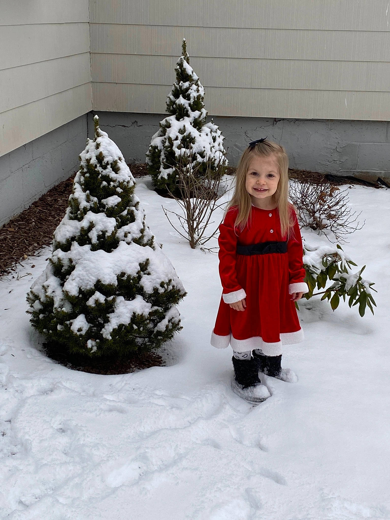 Talia is registered to the contest to win money with this photo: conifer, event, evergreen, freezing, fun, grass, holiday, home, house, human_body, joy, person, plant, playing_in_the_snow, precipitation, shrub, smile, snow, standing, toddler