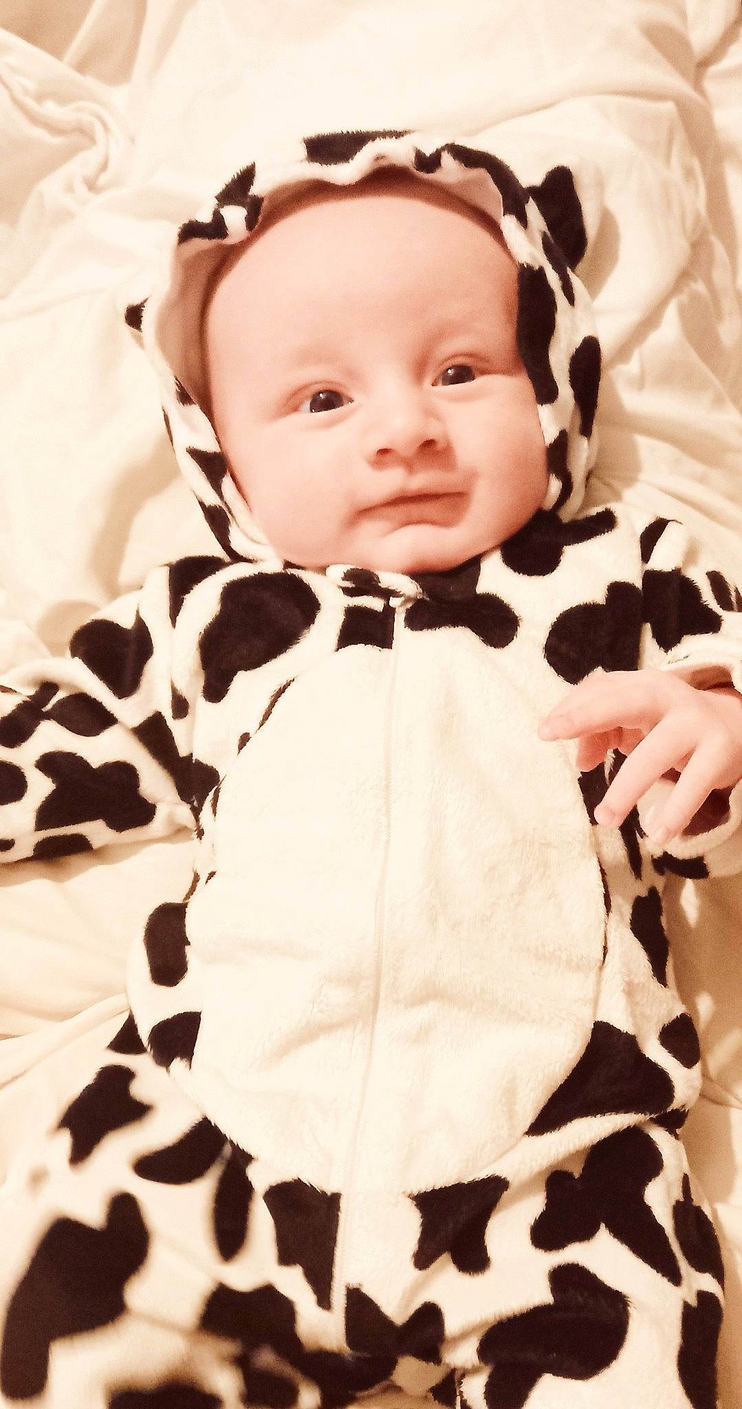 Eloann participe au concours pour gagner de l'argent avec cette photo : baby, baby_products, baby_toddler_clothing, bow_tie, cheek, child, collar, costume, eye, eyelash, face, fashion_accessory, formal_wear, happy, head, linens, neck, pattern, person, sleeve