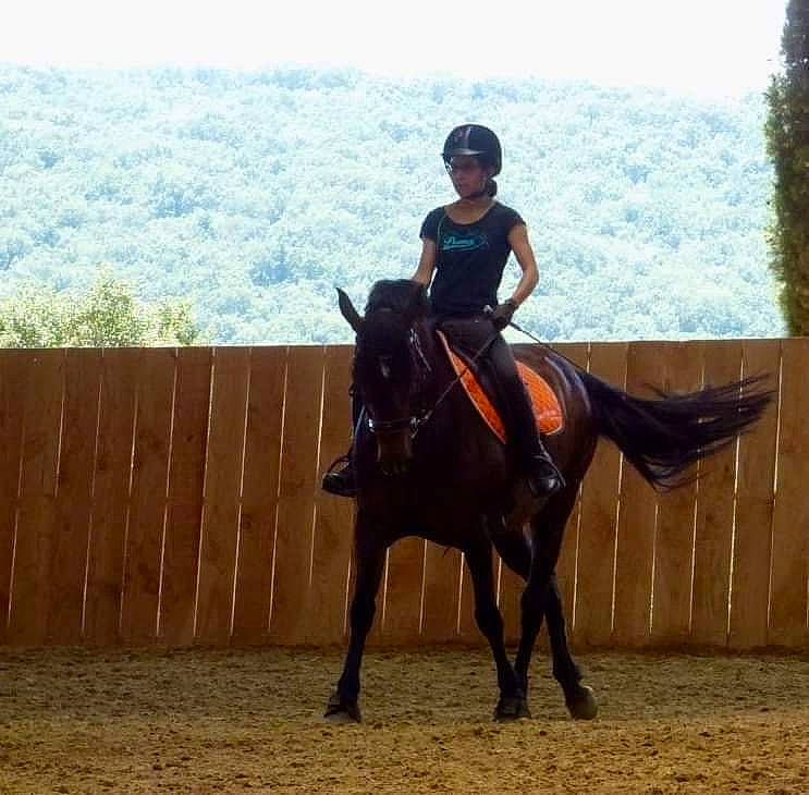 Betty a rejoint le concours — aidez-le/la à gagner de superbes lots ! animal_sports, bridle, dressage, english_riding, equestrian, equestrian_sport, equestrianism, equitation, halter, horse, horse_supplies, horse_tack, hunt_seat, mammal, outdoor_recreation, recreation, rein, saddle, stallion, western_riding