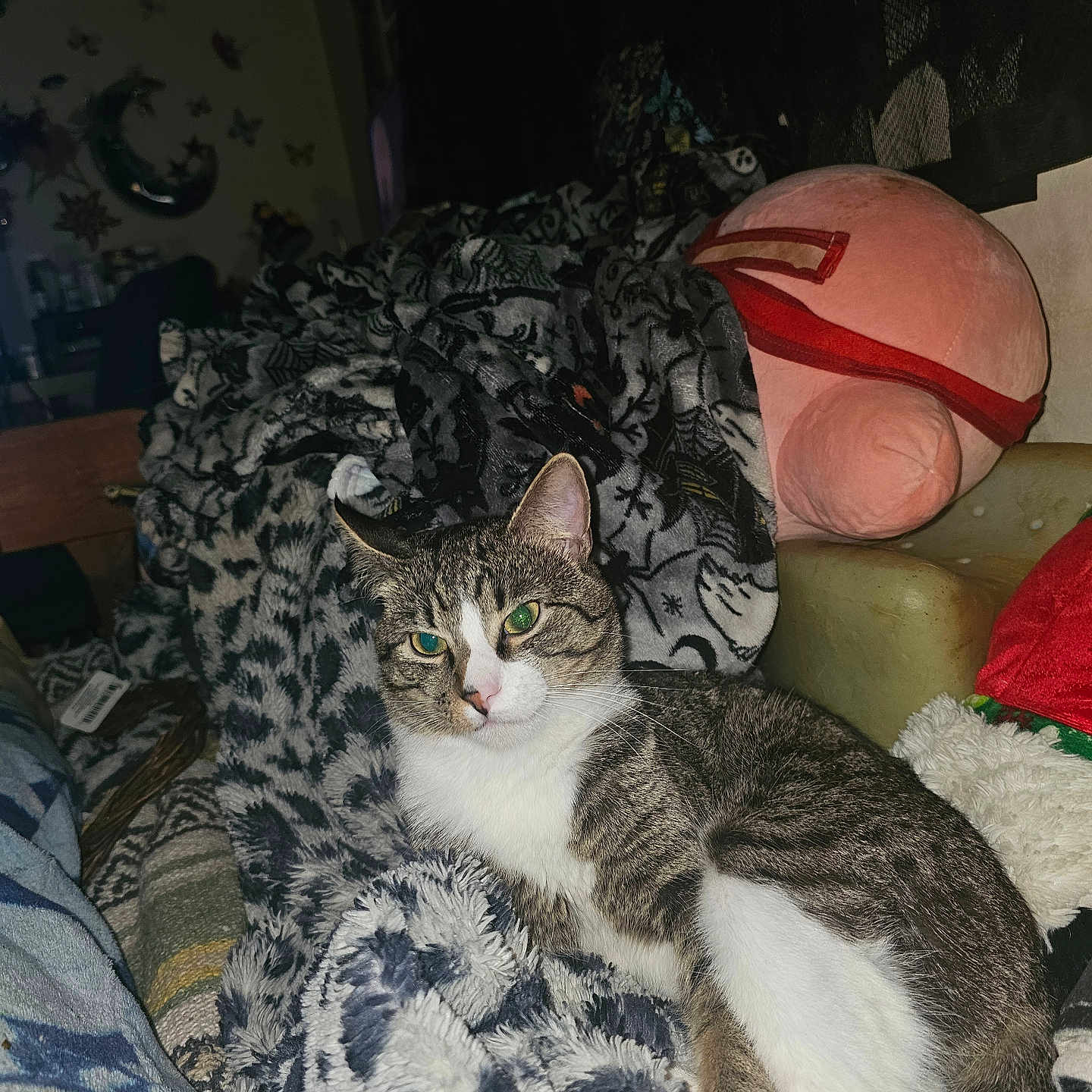 Toby