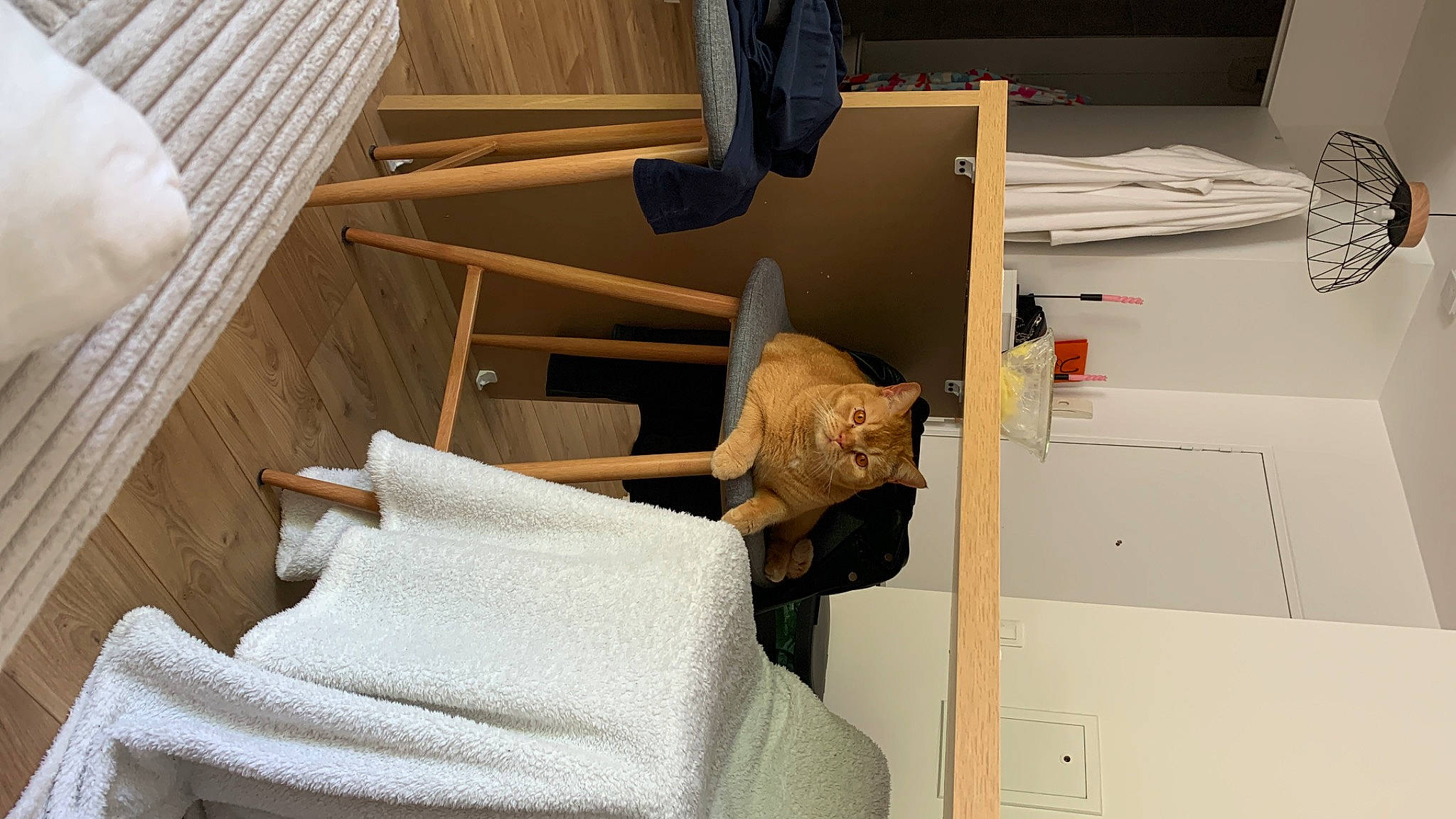 Patachon participe au concours pour gagner de l'argent avec cette photo : armrest, automotive_design, bed, bed_frame, bedroom, chair, comfort, couch, floor, flooring, hardwood, house, interior_design, linens, plywood, room, shelving, table, wood, wood_stain