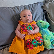 Anya is registered to the contest to win money with this photo: baby, child, dress, orange, floral_embroidery, stuffed_animal, dinosaur_toy, couch, gray_couch, pillow, indoor, portrait, cute, infant, person, seated, smiling, plush_toy, home, colorful_clothing