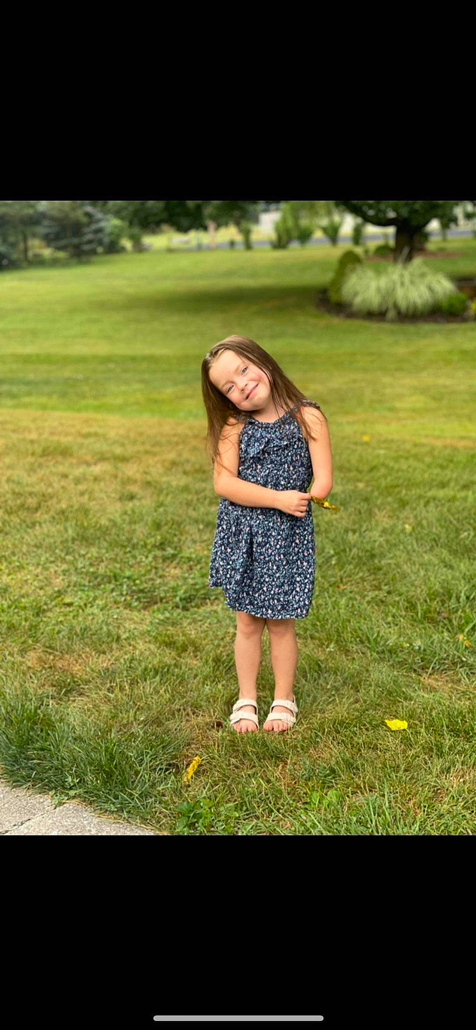 Aleesyia joined the competition — help win amazing prizes! day_dress, fawn, flash_photography, fun, grass, grass_family, grassland, happy, joy, landscape, lawn, leaf, leisure, long_hair, meadow, people_in_nature, person, plant, smile, summer