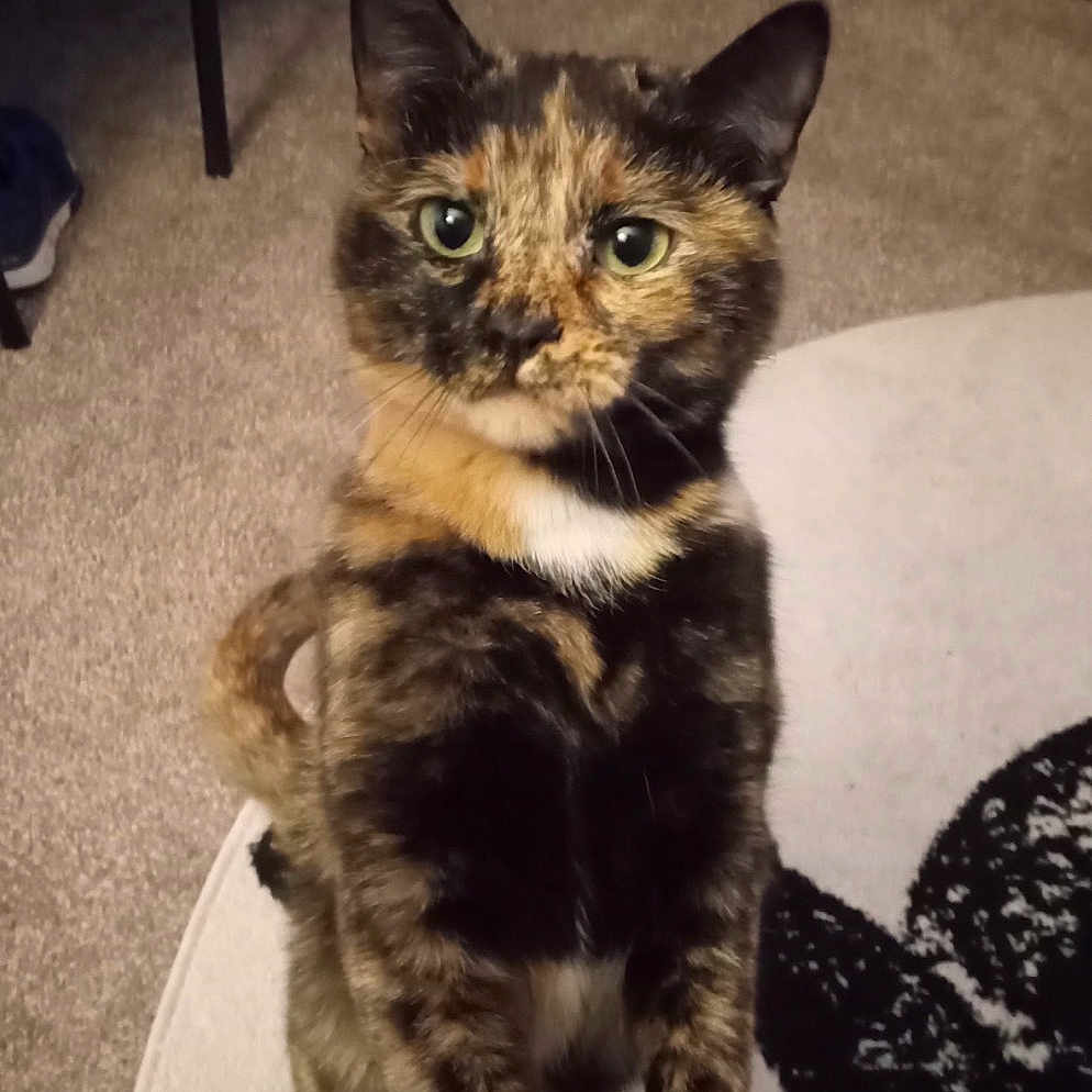 Eliza