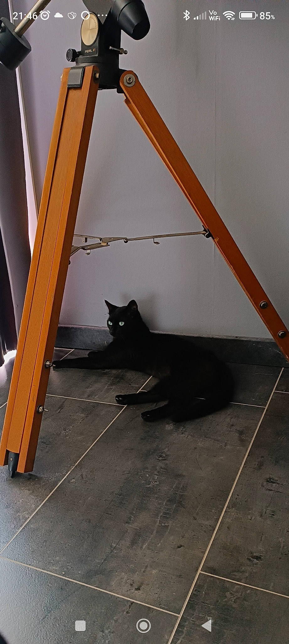Nikita