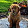 Tilly