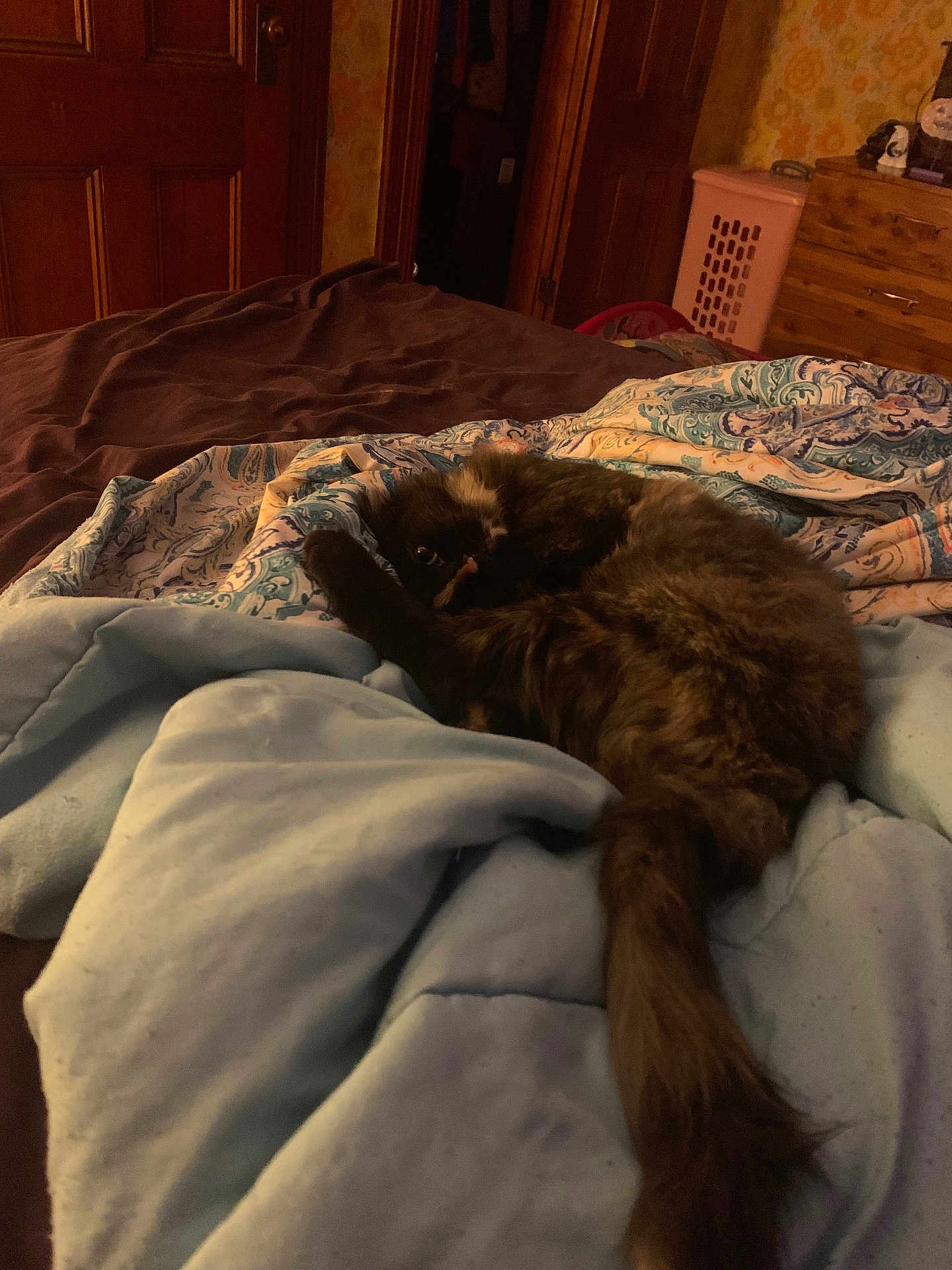 Zoey