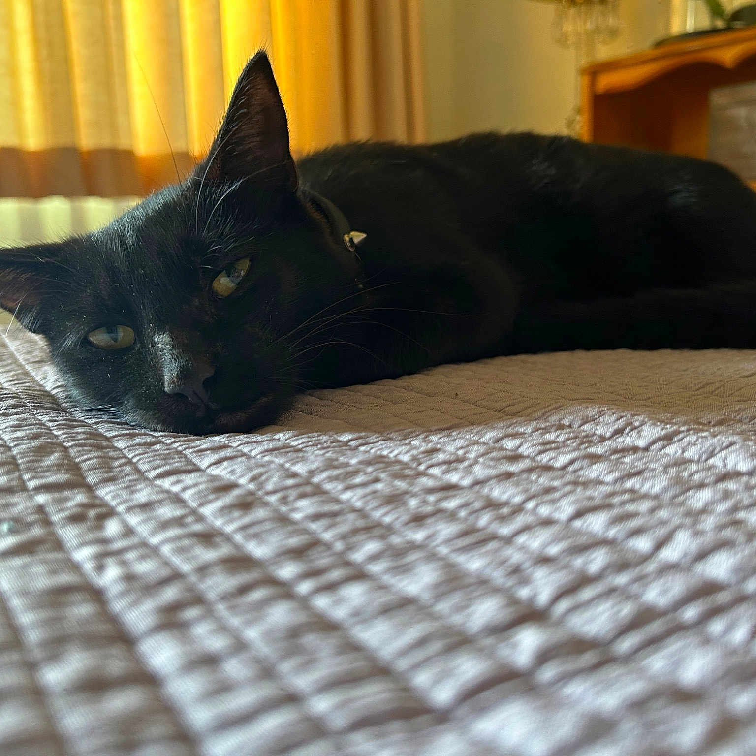 Handsome Jack