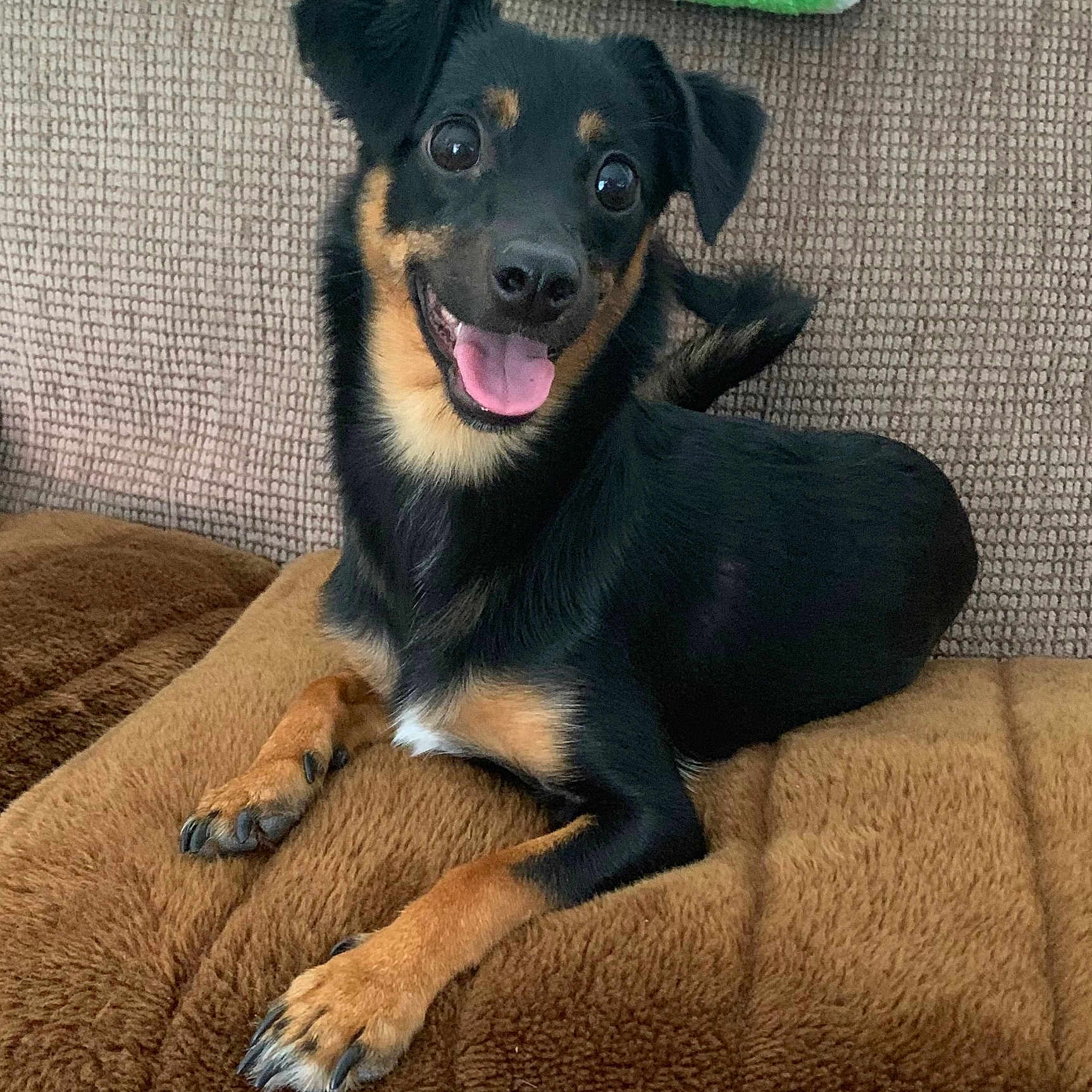 Phoebe Nyx