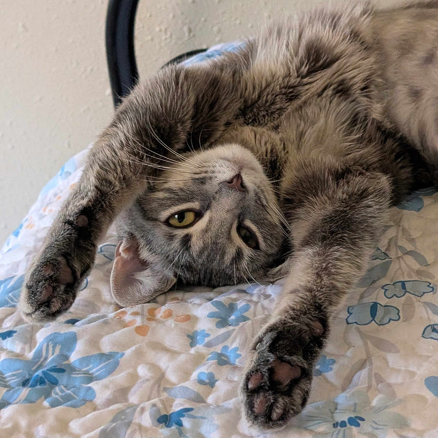 Mercury