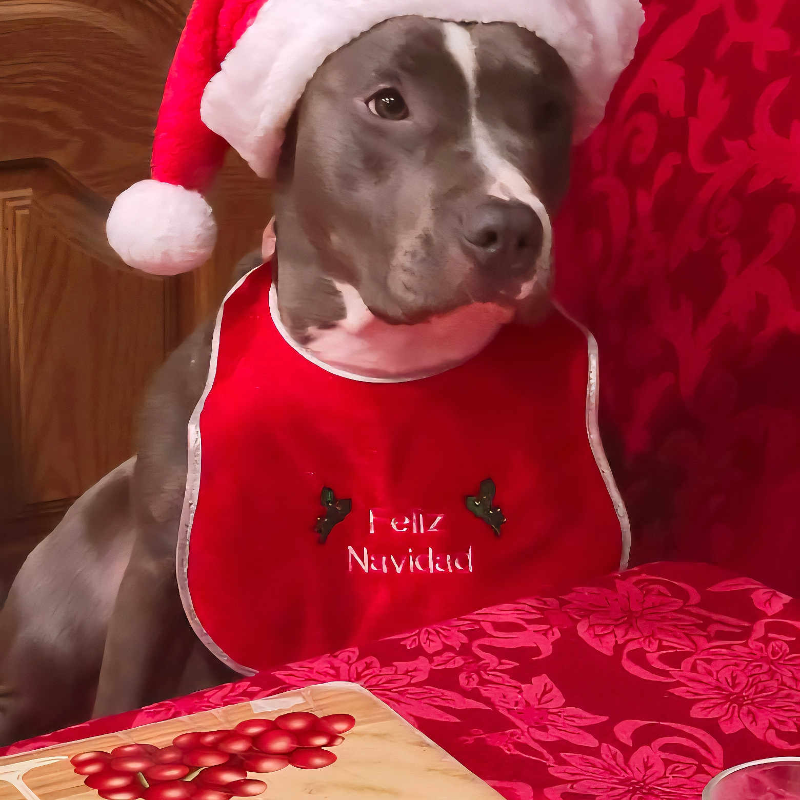 Lily is registered to the contest to win money with this photo: brown, canine, celebration, christmas, decor, dog, festive, food, glass, holiday, indoor, pet, red, red_bib, santa_hat, seated, table, tablecloth, white, wood