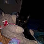 Midnight joined the competition — help win amazing prizes! black_cat, stuffed_animals, blanket, calendar, plate, fork, dining, indoor, cozy, soft_toys, table, dark_background, feline, resting, household_items, fabric, colorful, pink_ribbon, plush, domestic
