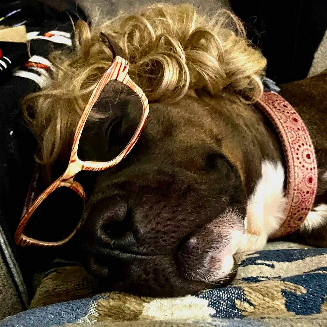 Cheyenne