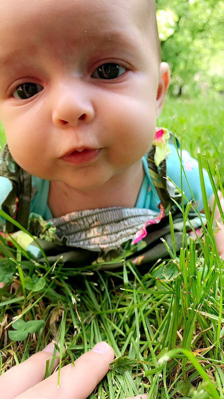 Aliza is registered to the contest to win money with this photo: adaptation, baby, cheek, child, chin, eye, face, facial_expression, grass, grass_family, happy, head, leaf, lip, mouth, nose, person, plant, skin, smile