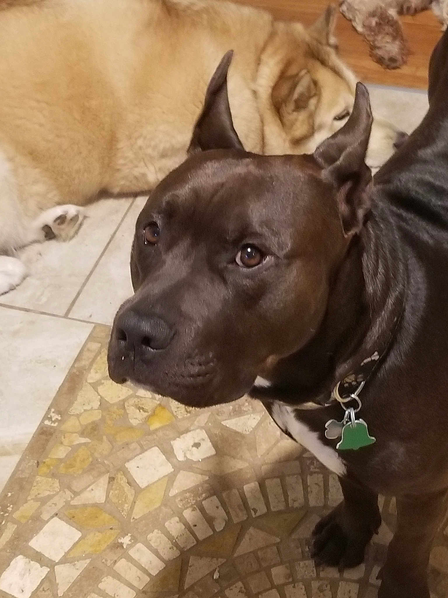 Rocco