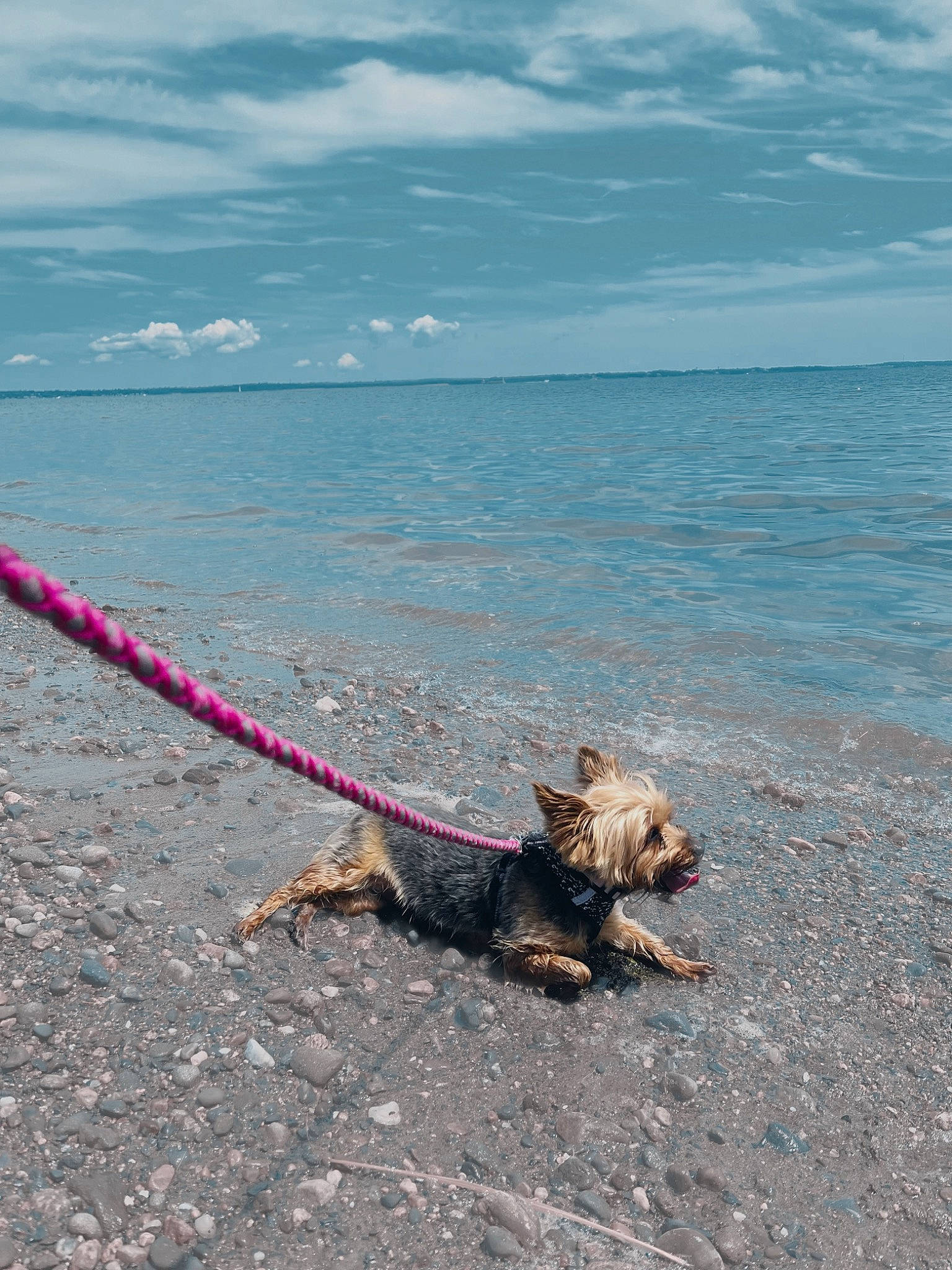 Pebbles is registered to the contest to win money with this photo: beach, cloud, coast, fun, horizon, landscape, leisure, ocean, people_in_nature, recreation, rock, sand, shore, sky, vacation, water, wave, wind, wind_wave, wood