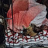 animal, blanket, cage, comfort, cozy, crate, cute, dog, fleece, fur, home, indoor, peaceful, pet, relaxed, resting, sleeping, snuggled, soft, warm