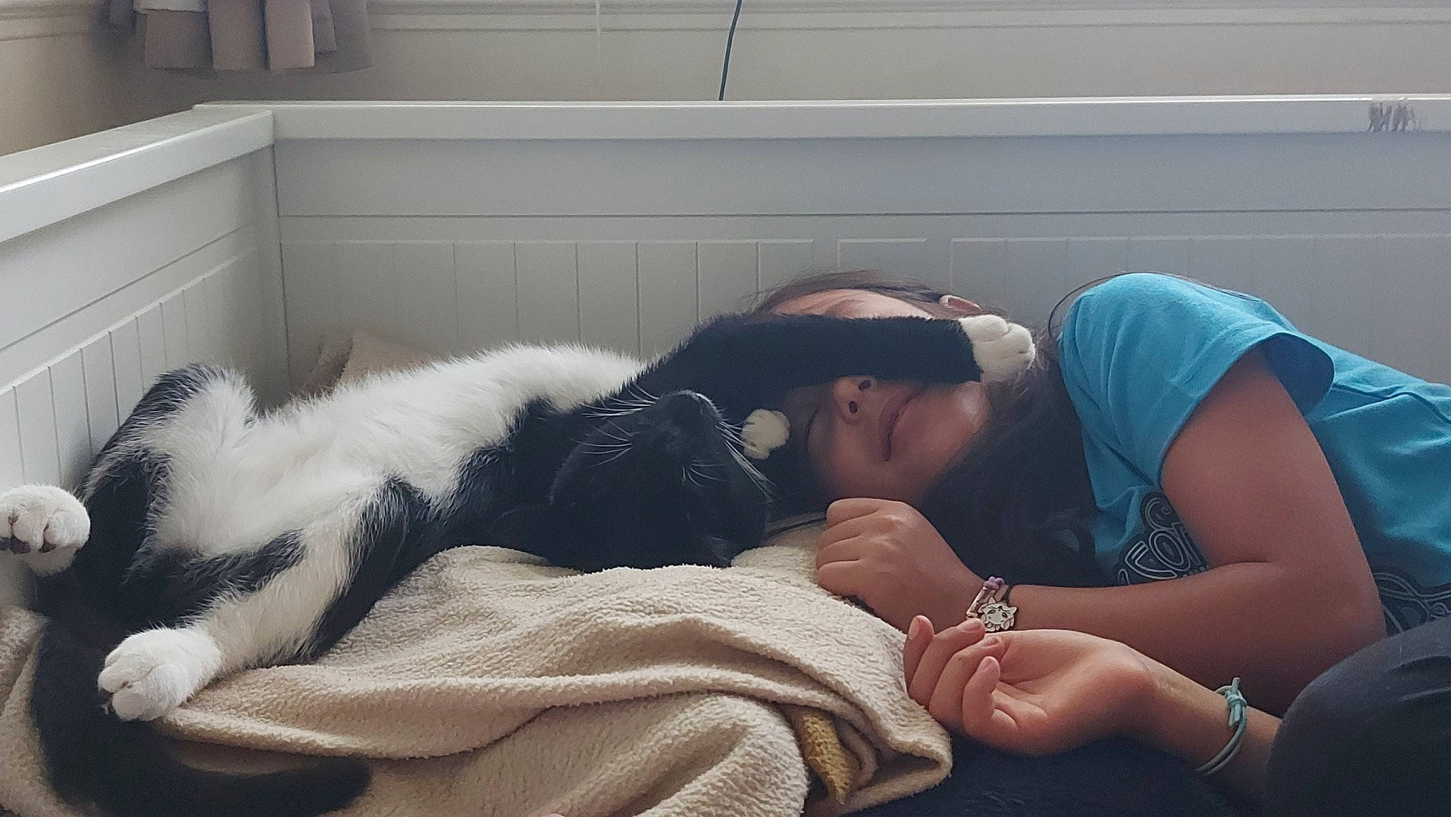 Waffle is registered to the contest to win money with this photo: black_hair, carnivore, comfort, companion_dog, couch, eyewear, felidae, happy, human_body, human_leg, jewellery, lap, leg, linens, sitting, small_to_medium_sized_cats, sunglasses, thigh, vision_care, whiskers