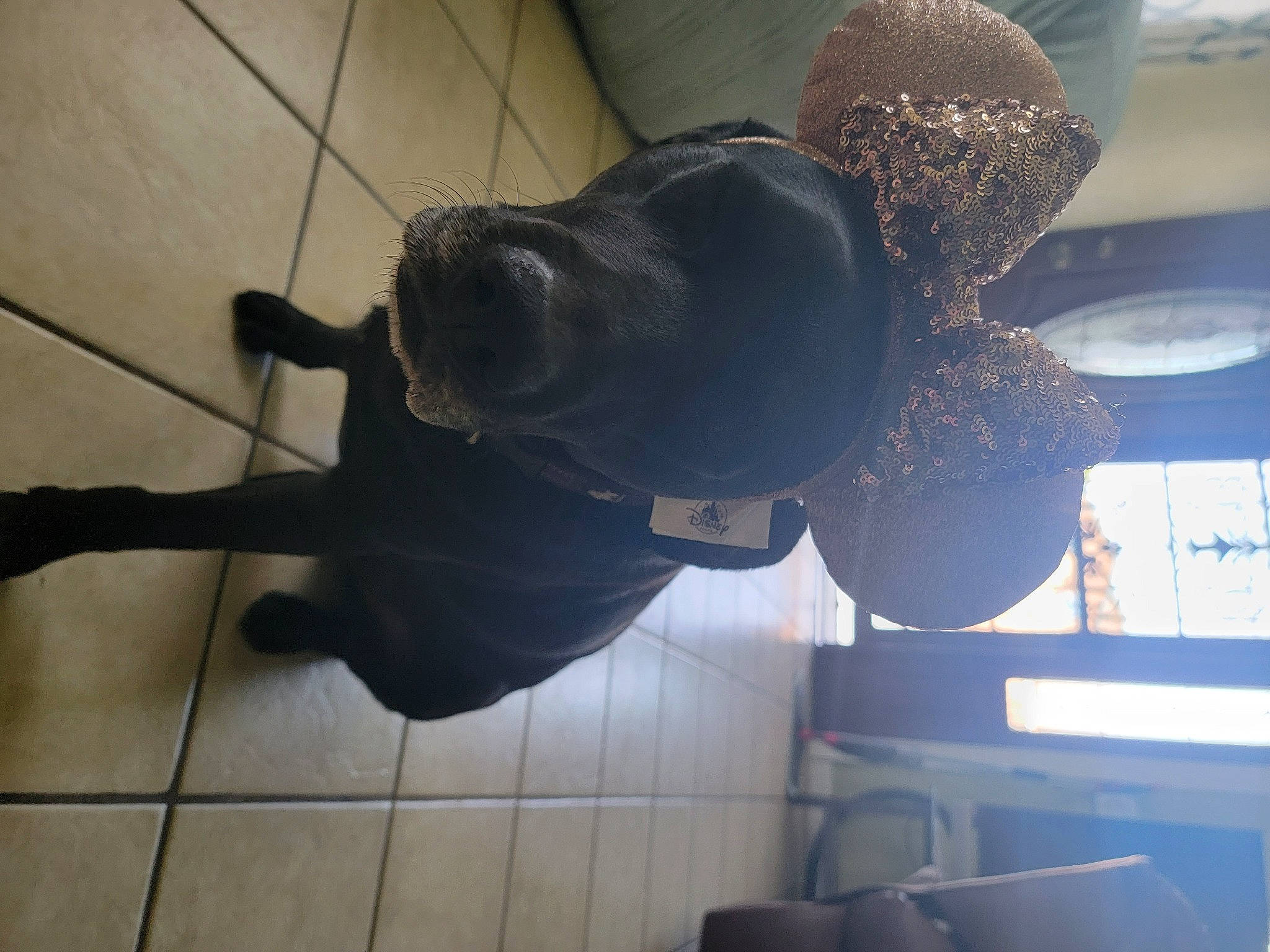 Amber joined the competition — help win amazing prizes! art, flooring, hardwood, hat, human_leg, metal, personal_protective_equipment, sculpture, shadow, tail, visual_arts, wood