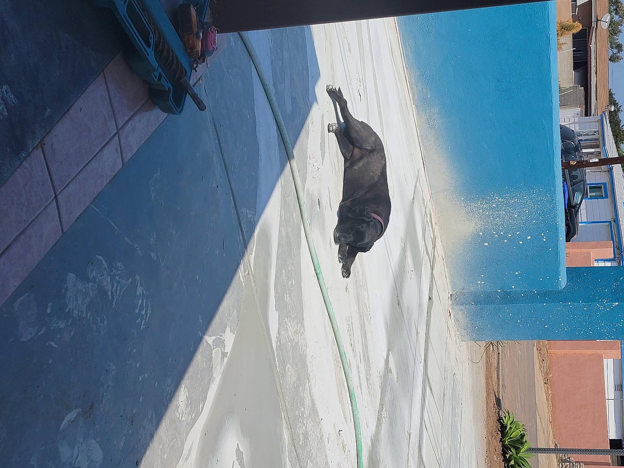 Amber is registered to the contest to win money with this photo: azure, building, composite_material, concrete, daylighting, daytime, electric_blue, facade, glass, grey, house, roof, shade, shadow, siding, sky, slope, tints_and_shades, window, world