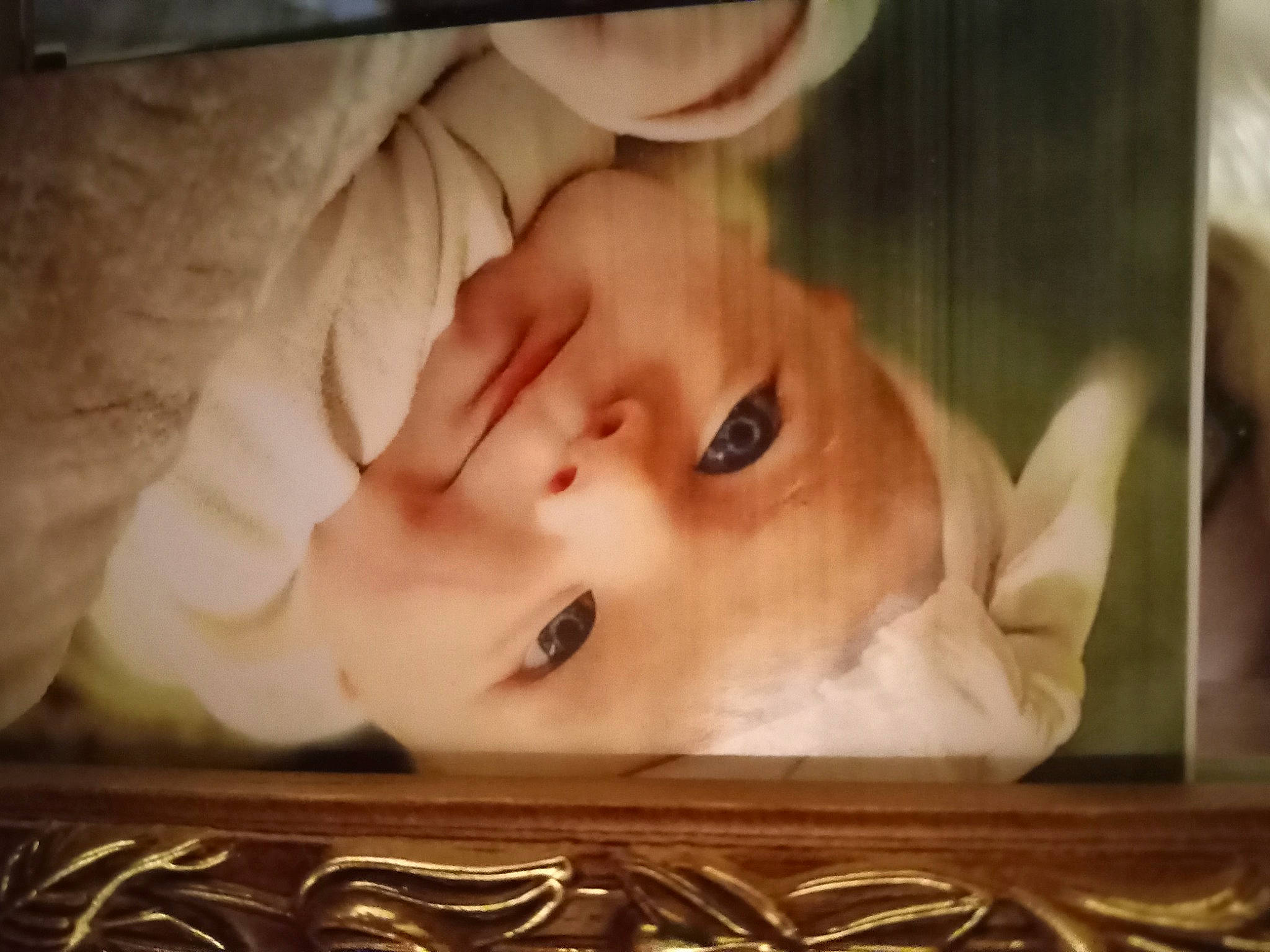 Nattalie is registered to the contest to win money with this photo: baby, cheek, child, ear, eye, eyebrow, eyelash, flash_photography, hair, head, human_body, jaw, lip, mouth, nose, person, picture_frame, product, skin, toddler