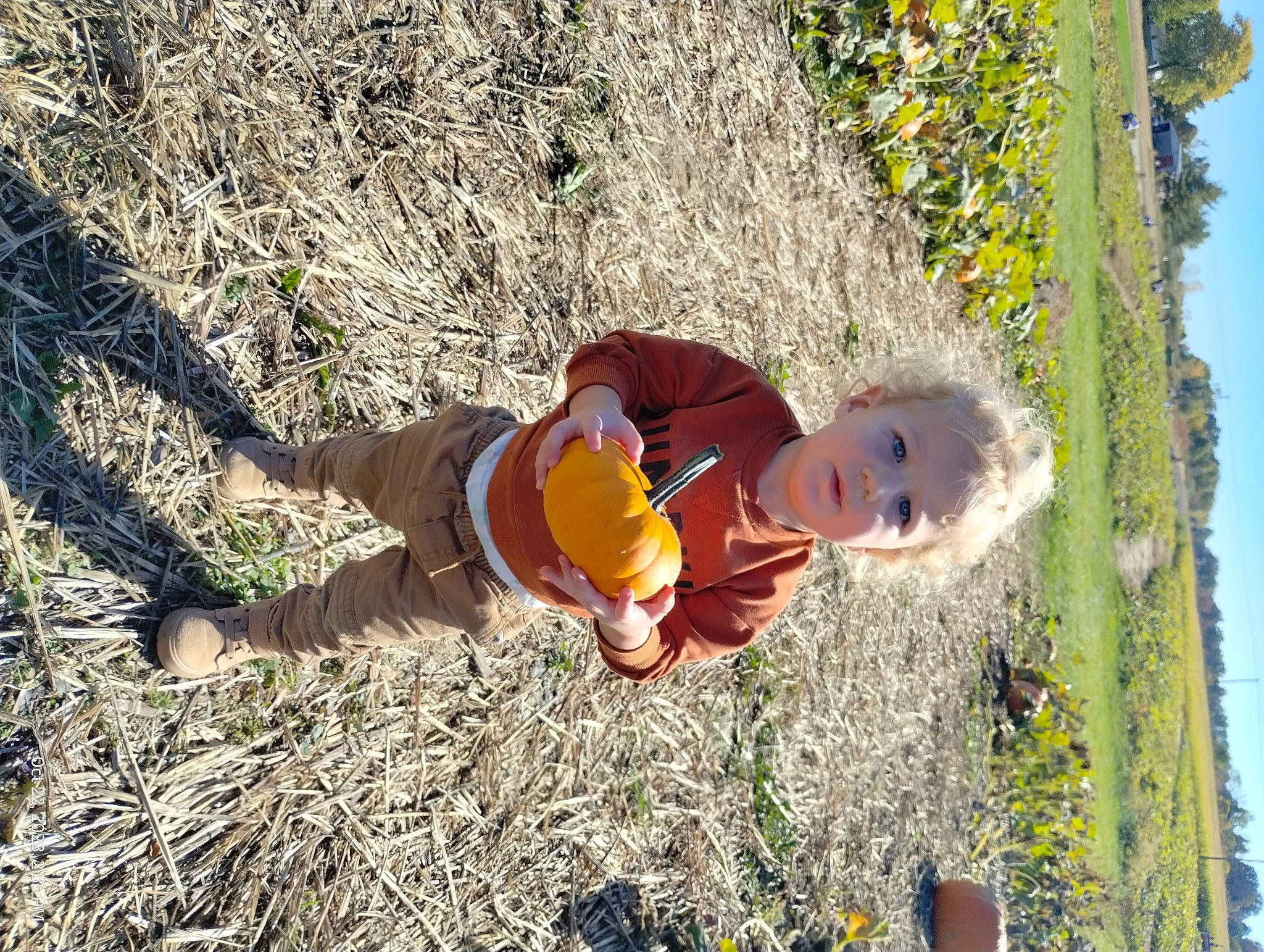 Dezmond is registered to the contest to win money with this photo: autumn, baby, baby_toddler_clothing, child, fun, grass, happy, hat, landscape, leisure, people_in_nature, person, plant, play, shadow, sky, soil, toddler, tree, wood