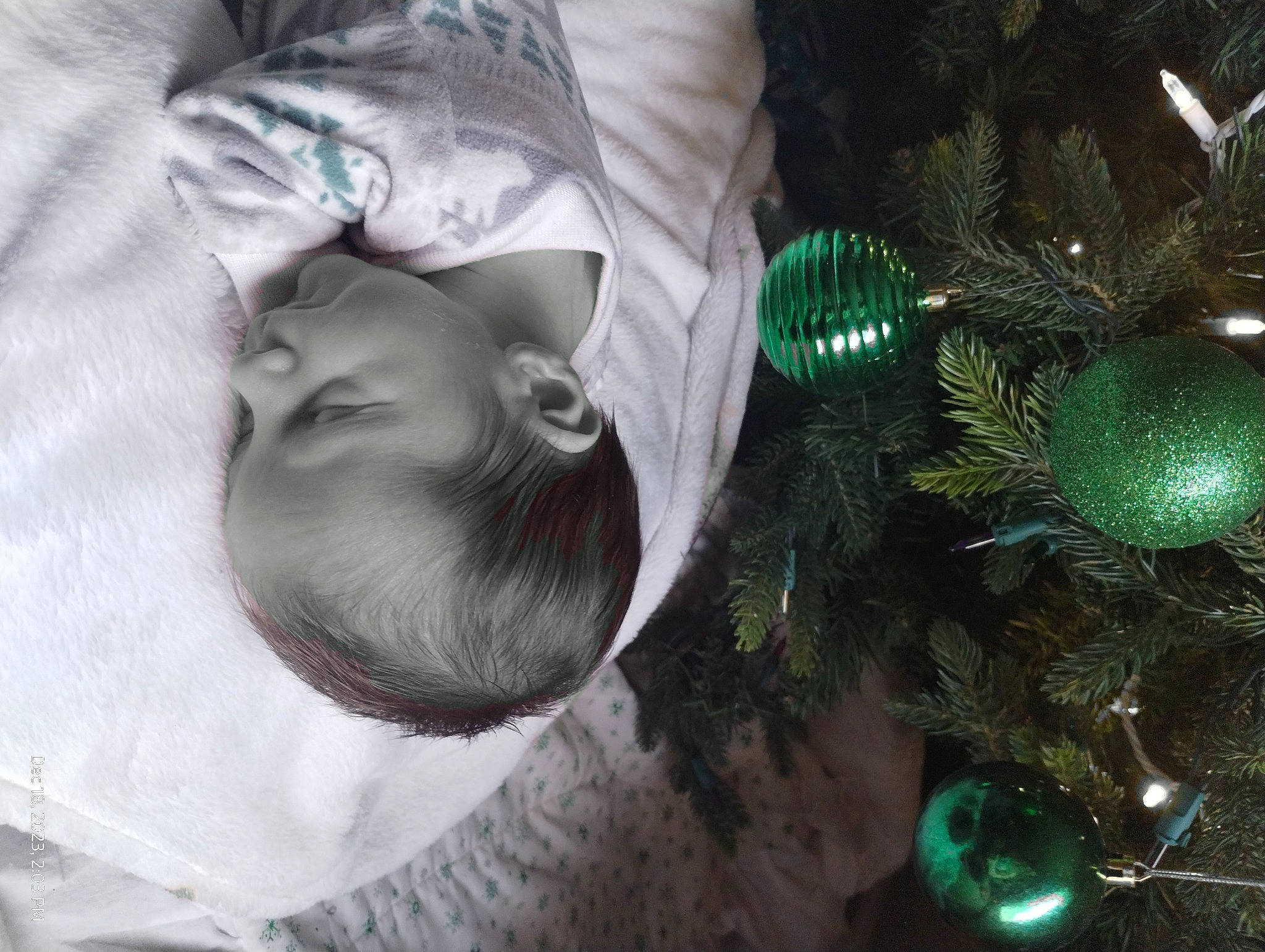 Edgar joined the competition — help win amazing prizes! baby, christmas, christmas_decoration, christmas_eve, christmas_ornament, christmas_tree, comfort, conifer, event, evergreen, glass, grass, happy, holiday, holiday_ornament, interior_design, ornament, person, plant, toddler