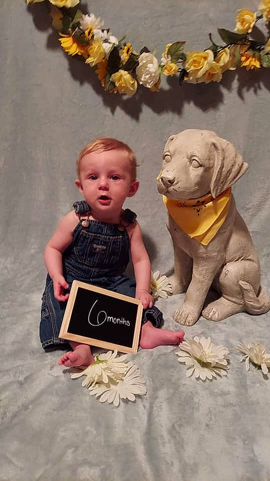 Owen is registered to the contest to win money with this photo: art, carnivore, child, companion_dog, dog, dog_breed, doll, event, fawn, flooring, fun, fur, happy, person, stuffed_toy, terrestrial_animal, toddler, toy, vintage_clothing, visual_arts