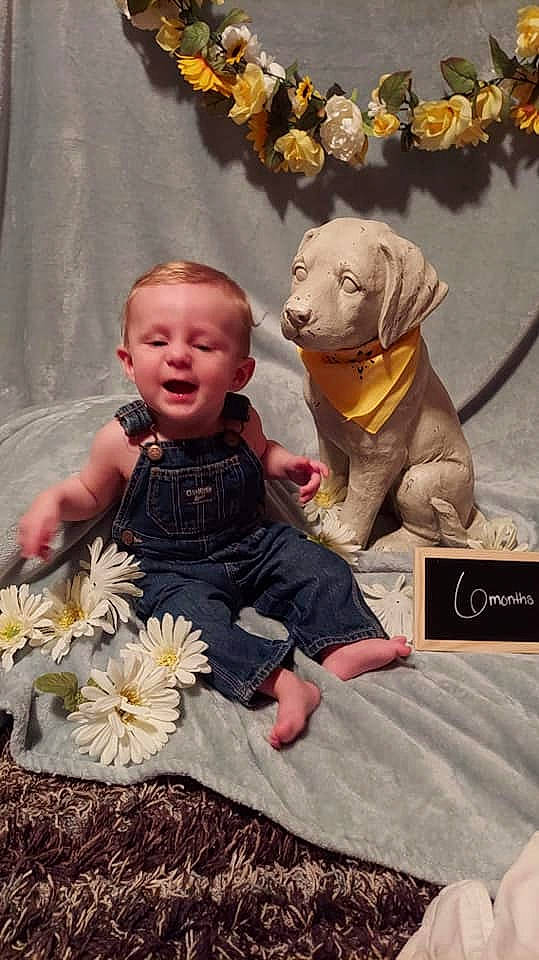 Owen is registered to the contest to win money with this photo: art, big_cats, carnivore, child, companion_dog, dog_breed, fawn, felidae, flower, fun, happy, lion, mammal, person, plant, snapshot, terrestrial_animal, toddler, toy, vertebrate