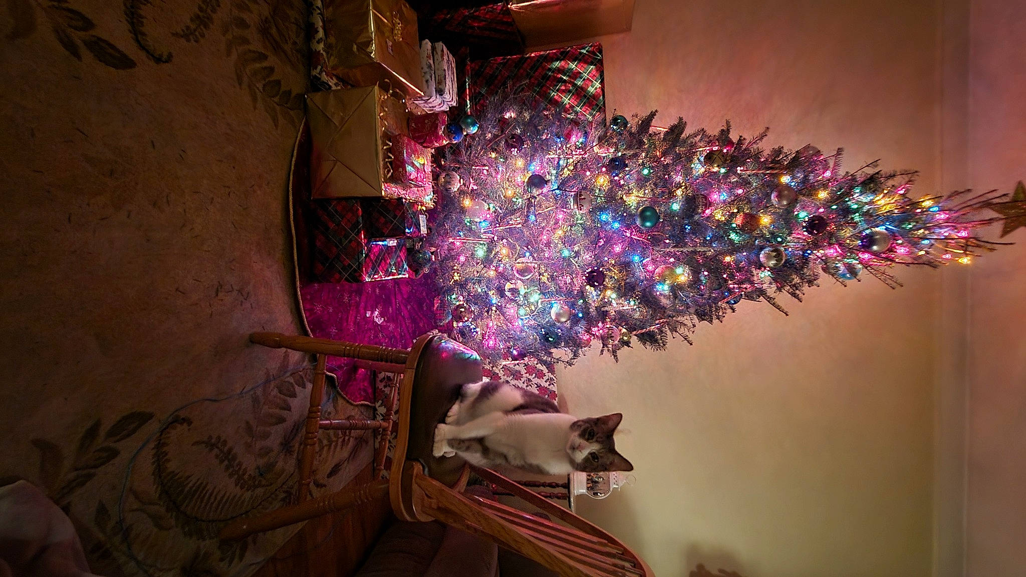 Keekee is registered to the contest to win money with this photo: art, christmas_decoration, christmas_ornament, christmas_tree, darkness, event, interior_design, light, lighting, magenta, ornament, pink, plant, purple, space, tints_and_shades, tree, violet, window, wood