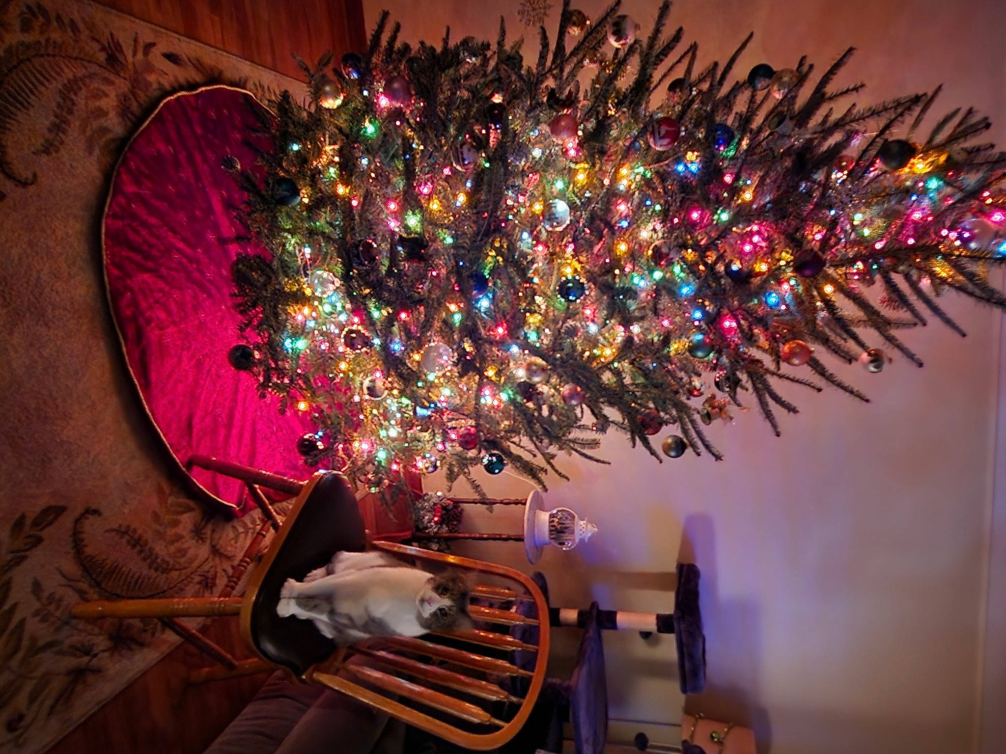 Keekee joined the competition — help win amazing prizes! christmas, christmas_decoration, christmas_ornament, circle, darkness, decoration, event, holiday, holiday_ornament, interior_design, magenta, ornament, plant, purple, room, space, tints_and_shades, tree, wood, woody_plant