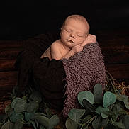Billy is registered to the contest to win money with this photo: baby, blanket, child, cozy, cute, dark_background, greenery, infant, leaves, natural, newborn, peaceful, portrait, resting, sleeping, small, soft_texture, studio_photo, wooden_floor, wrap