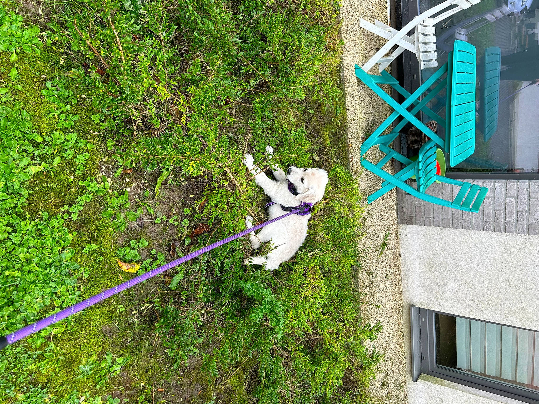 Nahla a rejoint le concours — aidez-le/la à gagner de superbes lots ! adventure, art, building, condominium, electric_blue, facade, grass, house, leisure, plant, pole, recreation, rope, shrub, slope, tree, urban_design, window