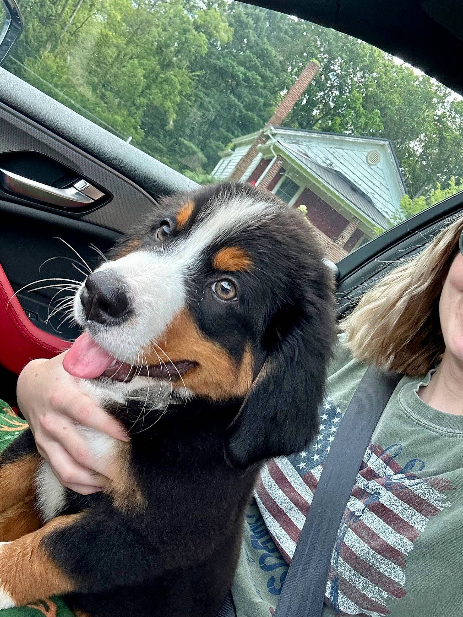 Blaze joined the competition — help win amazing prizes! auto_part, automotive_exterior, automotive_lighting, automotive_tire, bumper, car, carnivore, companion_dog, dog, dog_breed, eyewear, fur, luxury_vehicle, motor_vehicle, snout, sporting_group, tire, tree, vehicle, vehicle_door