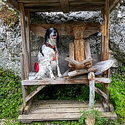 Prune a rejoint le concours — aidez-le/la à gagner de superbes lots ! dog, wooden_bench, wooden_sculpture, outdoor, rock_wall, moss, greenery, gravel, bench, harness, pet, animal, nature, reading, sculpture, wood, happy, sitting, leash, playful