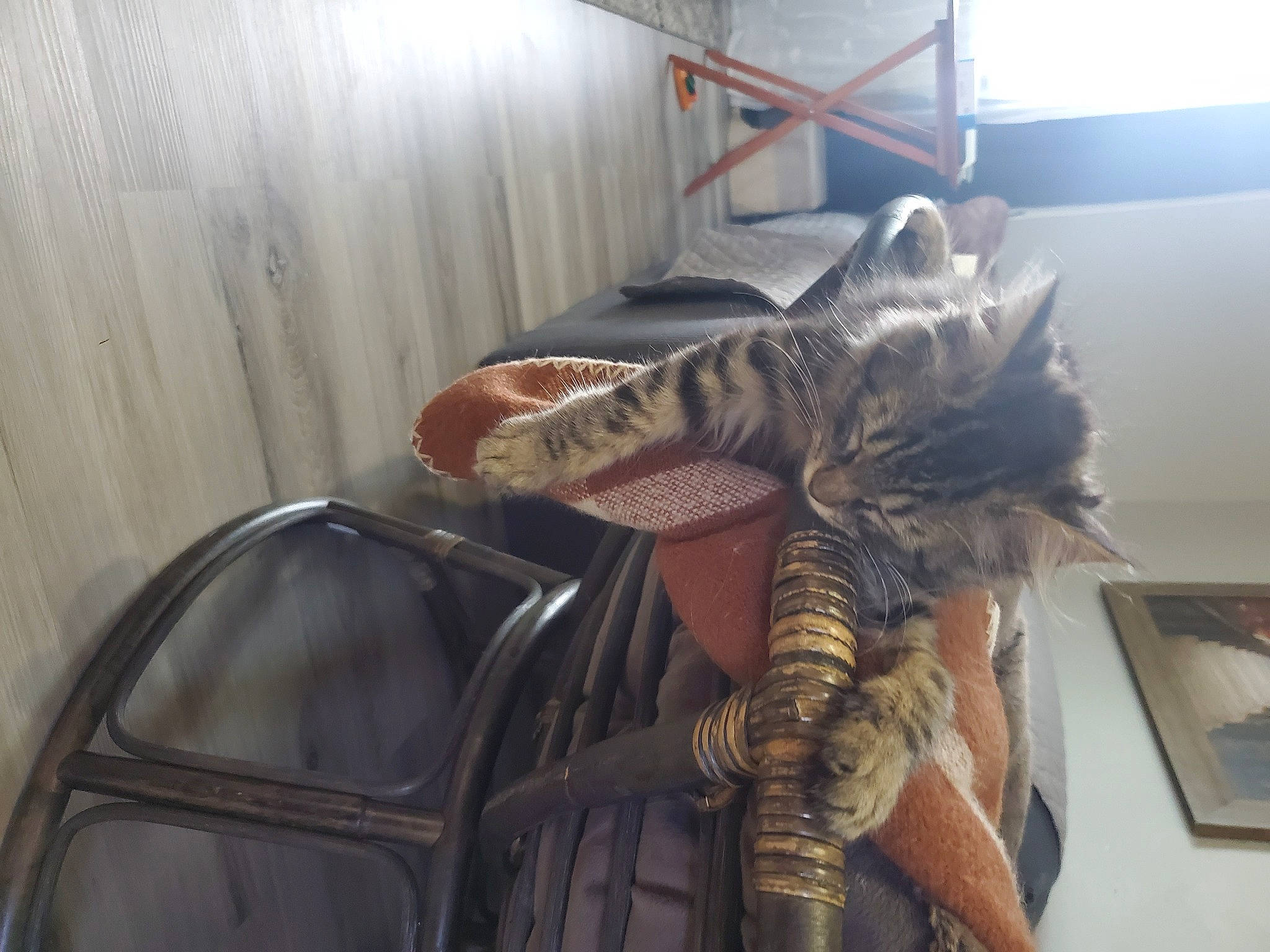 Methystos joined the competition — help win amazing prizes! art, automotive_design, bone, cg_artwork, curtain, extinction, feather, fictional_character, fur, hat, helmet, machine, metal, motor_vehicle, personal_protective_equipment, skeleton, sword, tattoo, wing, wood